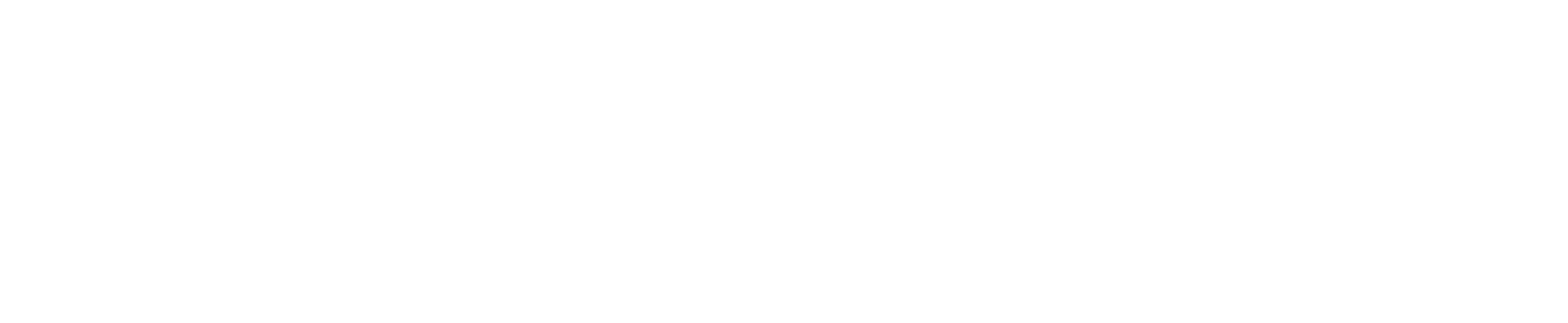 TC01 TECCHIN WHEEL